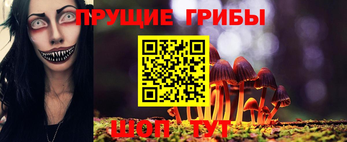 Галлюциногенные грибы Cubensis Азов