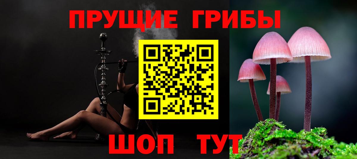 Азов  Галлюциногенные грибы Psilocybe  Вход с VPN 